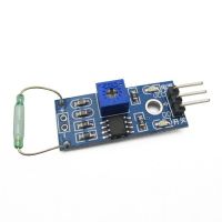 Reed switch